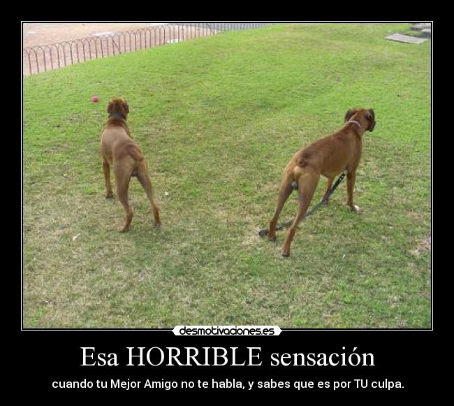 Esa HORRIBLE sensación - cuando tu Mejor Amigo no te habla, y sabes que es por TU culpa.