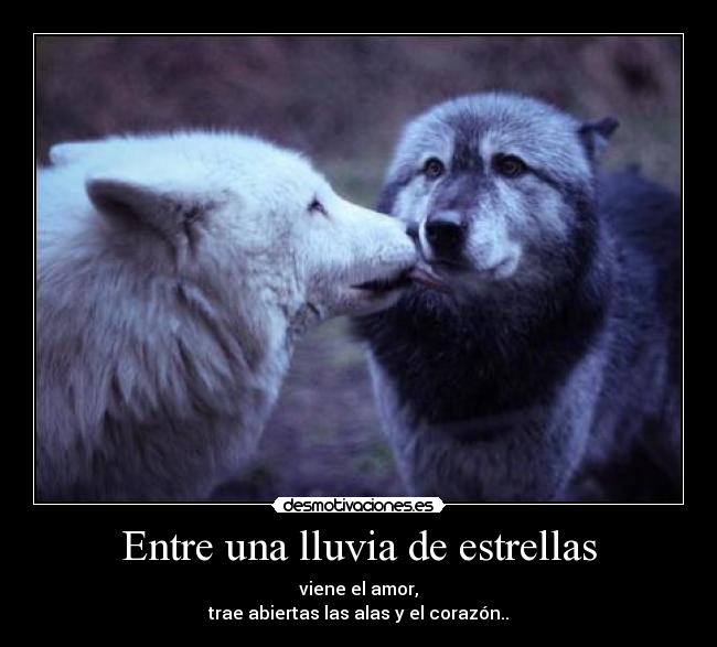 carteles csasd ese lobo como todoooo muy muy lindo cartel pete desmotivaciones