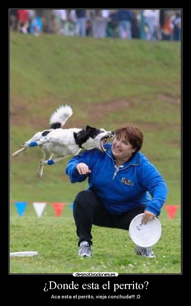 carteles new17 desmotivaciones