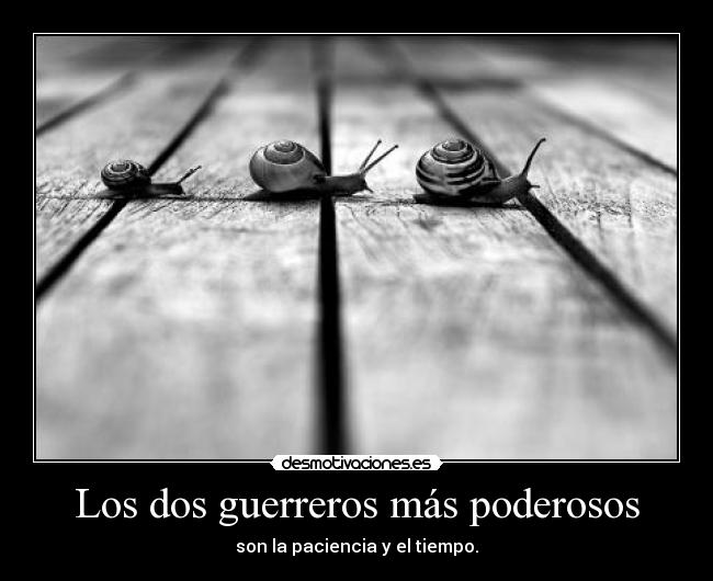 Los dos guerreros más poderosos - son la paciencia y el tiempo.