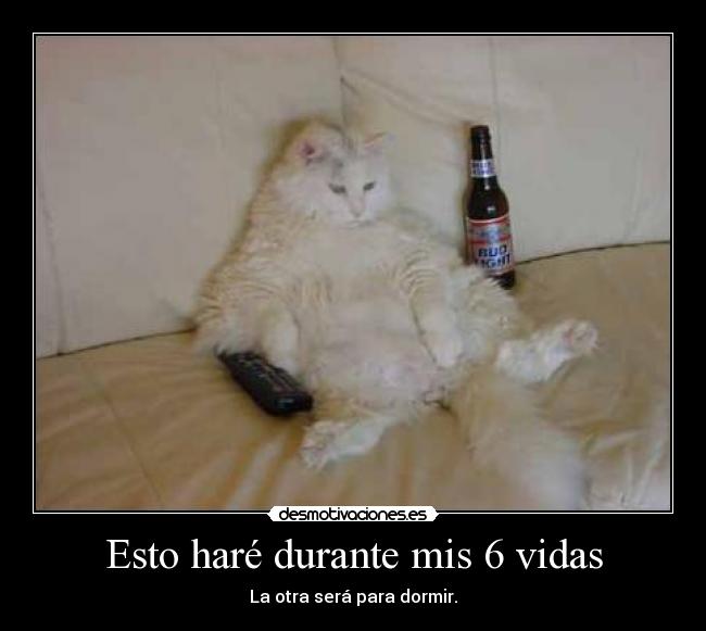 Esto haré durante mis 6 vidas -