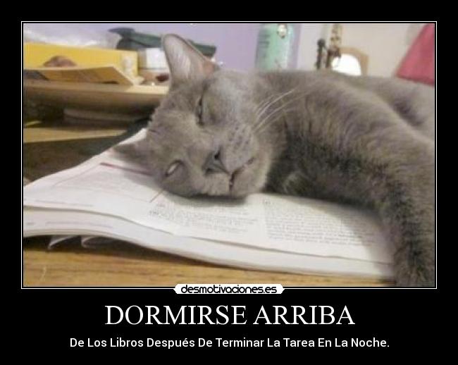 DORMIRSE ARRIBA - De Los Libros Después De Terminar La Tarea En La Noche.