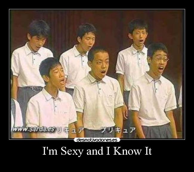 Im Sexy and I Know It - 