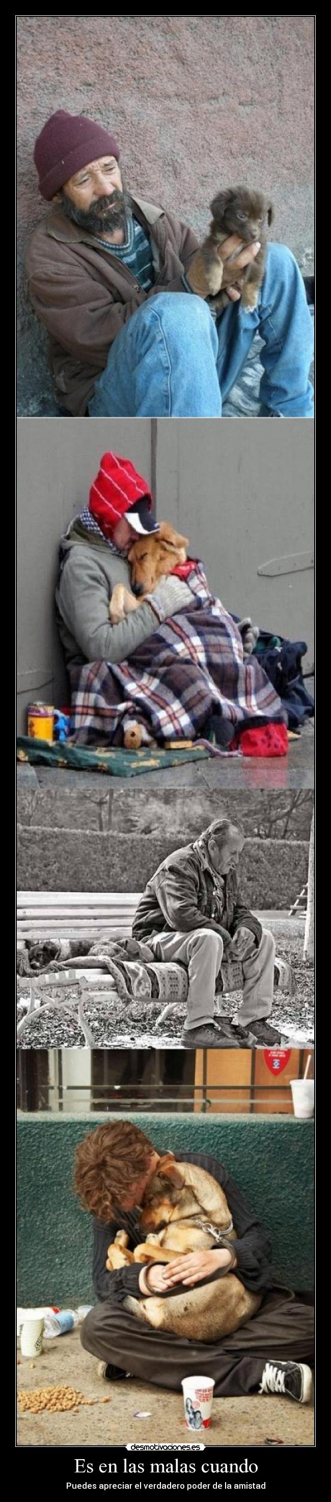 carteles guti19 quiero cielo solo llevenme donde esta alma perro desmotivaciones