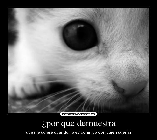 ¿por que demuestra -
