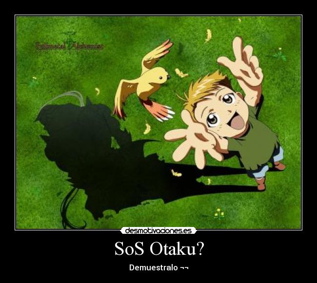 SoS Otaku? - Demuestralo ¬¬