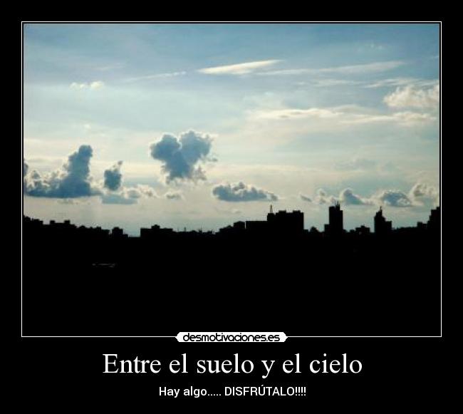 carteles nyan desmotivaciones