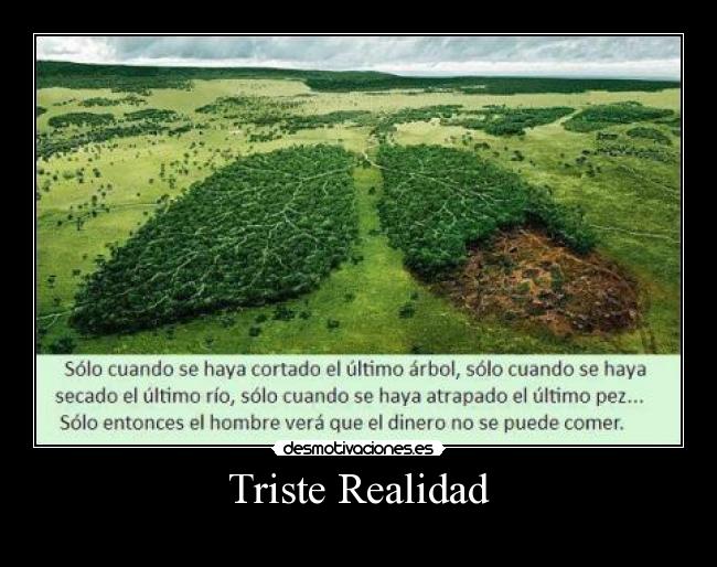 Triste Realidad - 