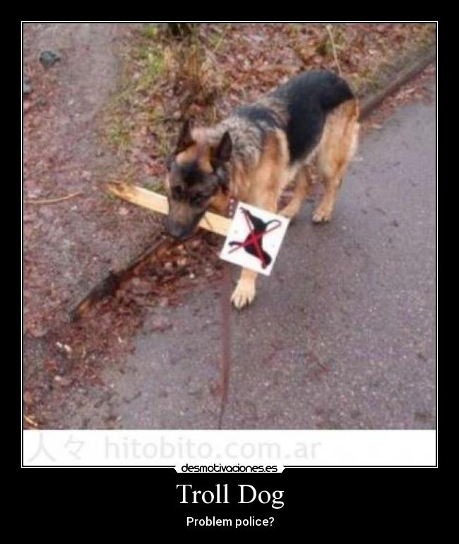 Troll Dog -