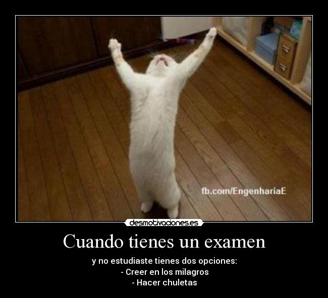 Cuando tienes un examen - y no estudiaste tienes dos opciones:
- Creer en los milagros
- Hacer chuletas