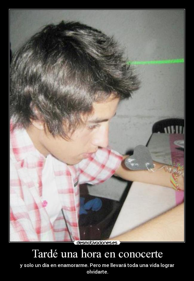 Tardé una hora en conocerte - 