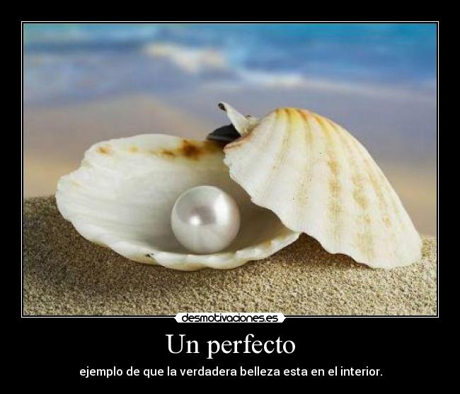 Un perfecto - ejemplo de que la verdadera belleza esta en el interior.