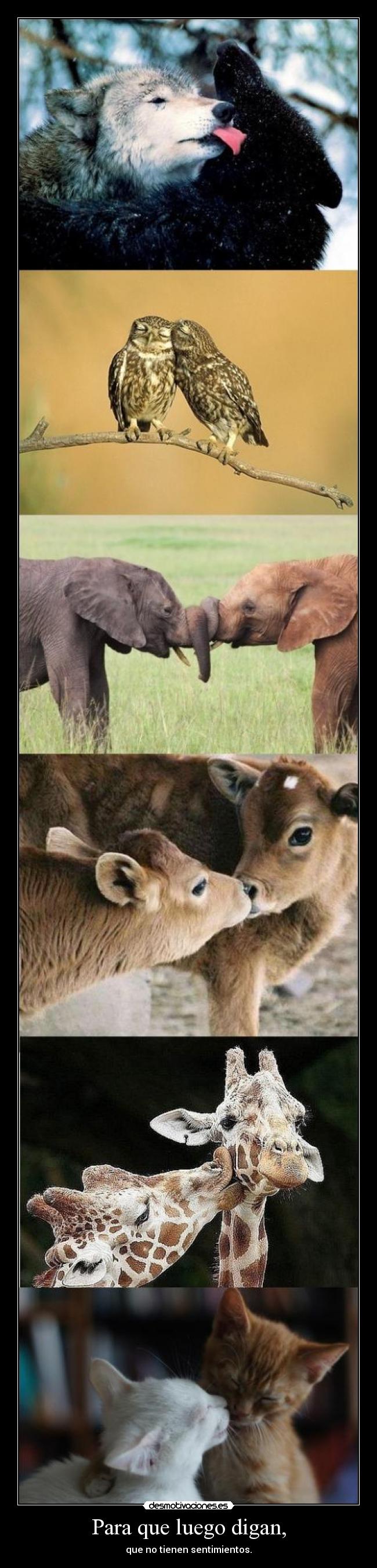 Para que luego digan, - 