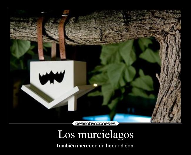 carteles tere desmotivaciones