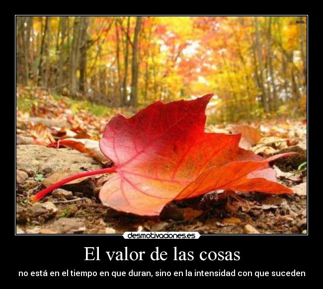 El valor de las cosas - no está en el tiempo en que duran, sino en la intensidad con que suceden