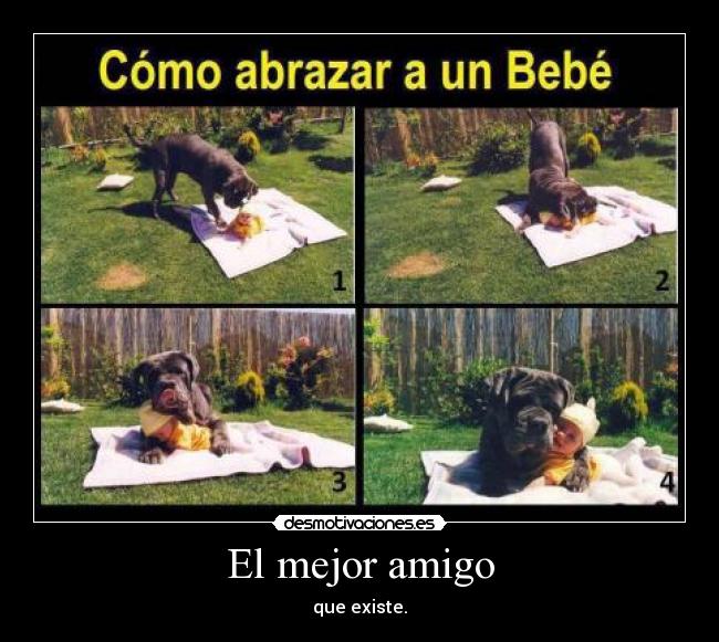 El mejor amigo - que existe.