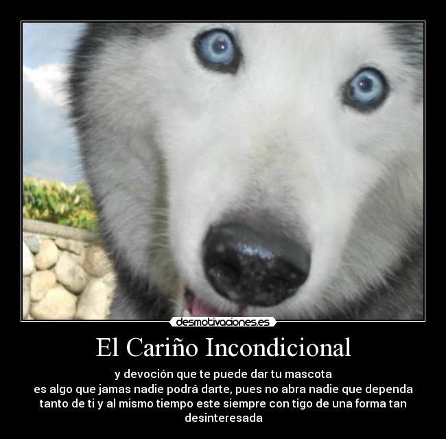 El Cariño Incondicional -