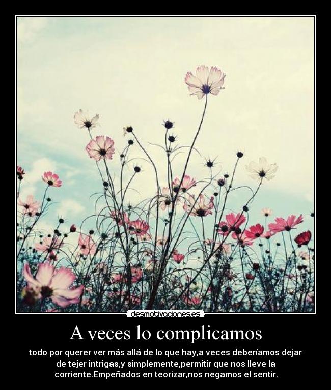 A veces lo complicamos - todo por querer ver más allá de lo que hay,a veces deberíamos dejar
de tejer intrigas,y simplemente,permitir que nos lleve la
corriente.Empeñados en teorizar,nos negamos el sentir.
