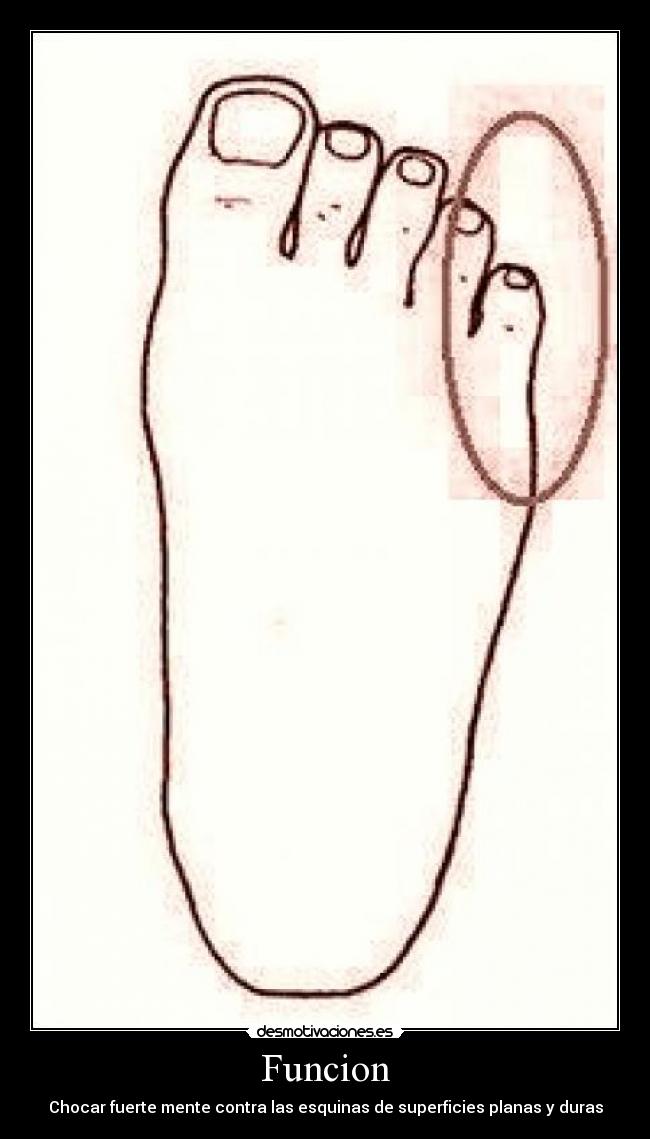 Funcion - Chocar fuerte mente contra las esquinas de superficies planas y duras