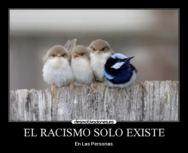 EL RACISMO SOLO EXISTE - 