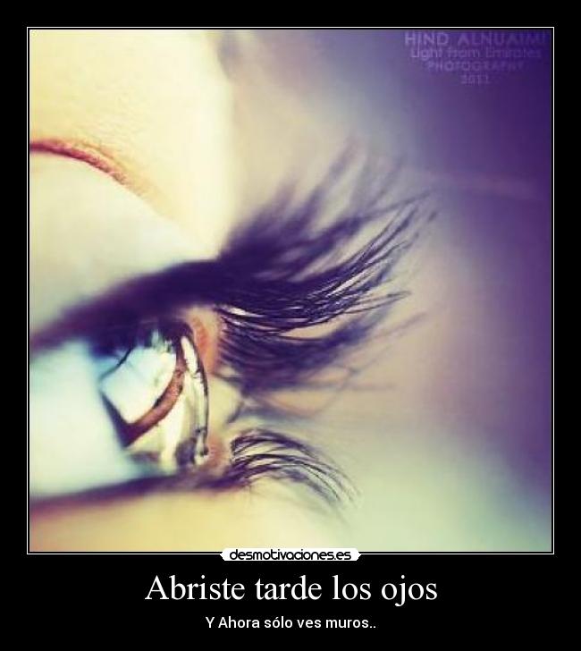 Abriste tarde los ojos - 