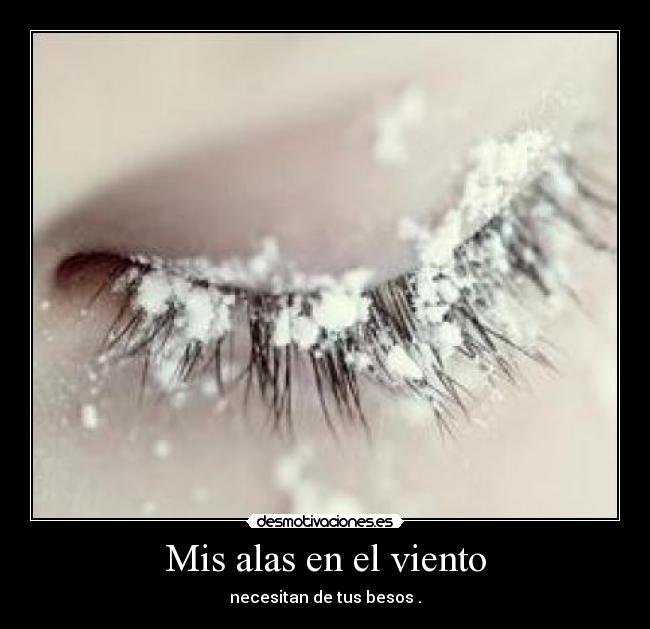 Mis alas en el viento - 