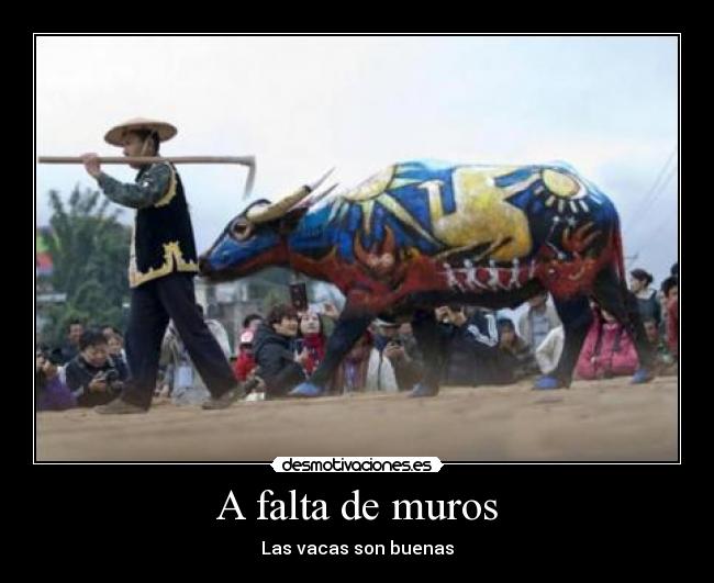 A falta de muros - Las vacas son buenas