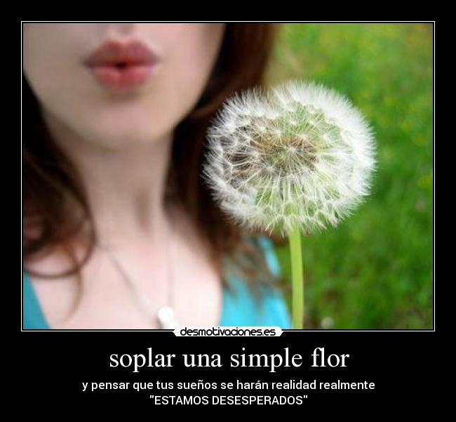 soplar una simple flor -