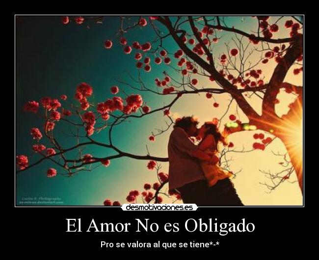 El Amor No es Obligado -