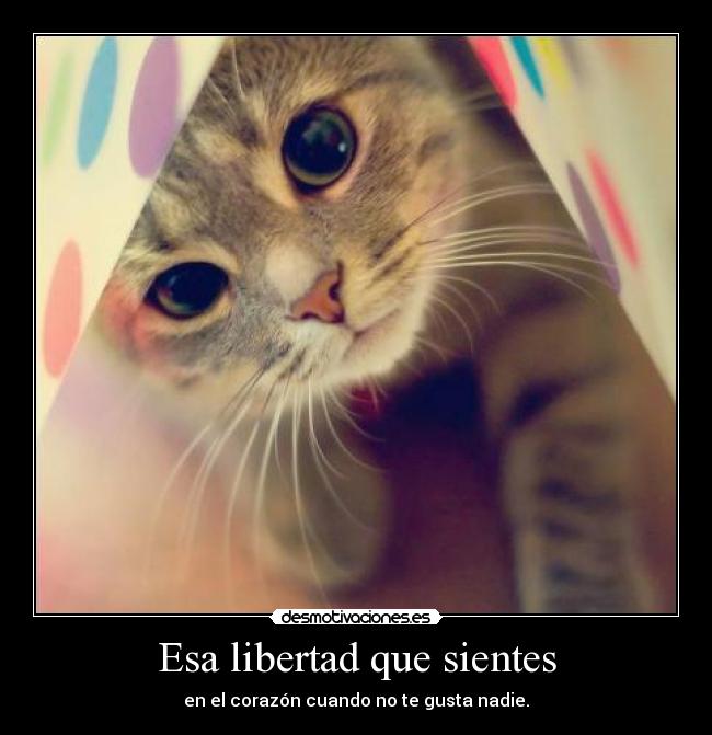 Esa libertad que sientes - en el corazón cuando no te gusta nadie.