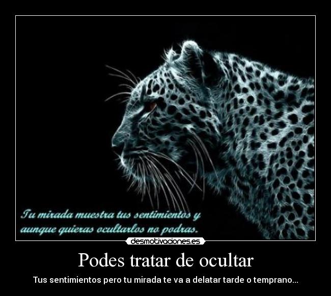 Podes tratar de ocultar -