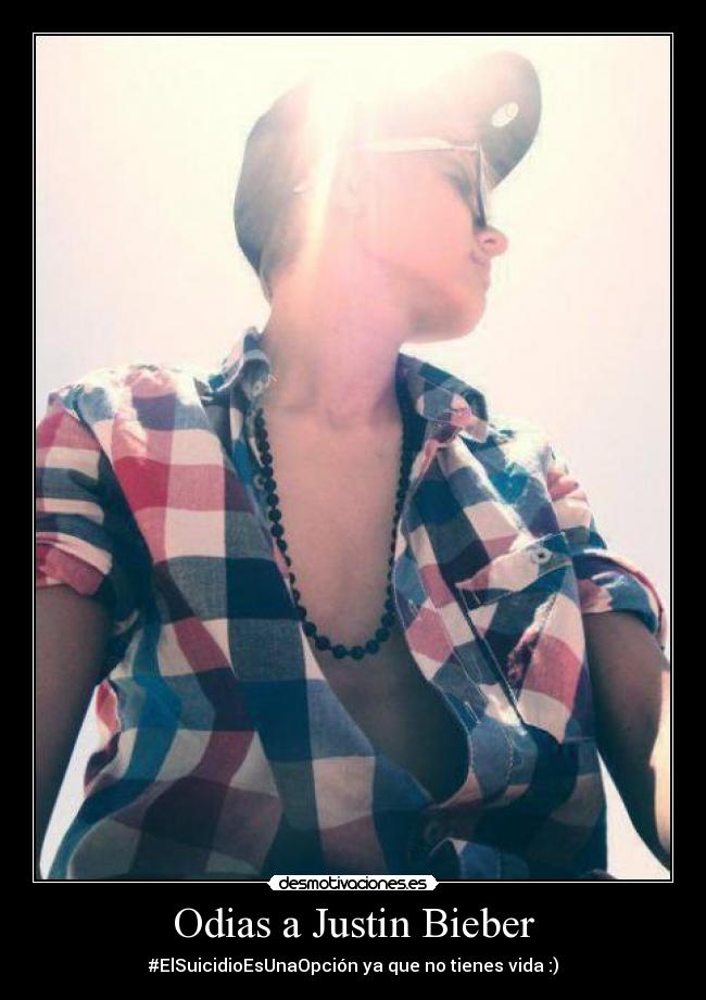 carteles justin bieber beliebers haters jubi justin desmotivaciones