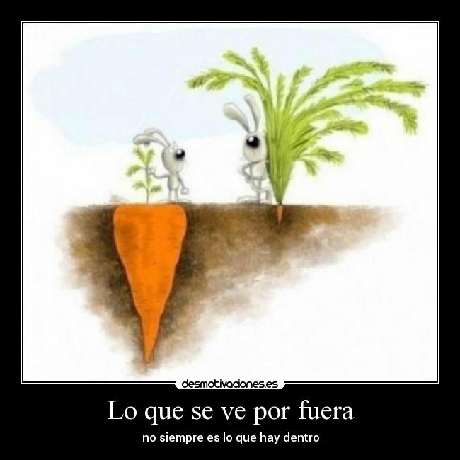 Lo que se ve por fuera - 