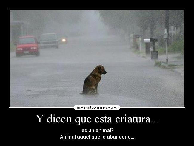 Y dicen que esta criatura... - es un animal?
Animal aquel que lo abandono...