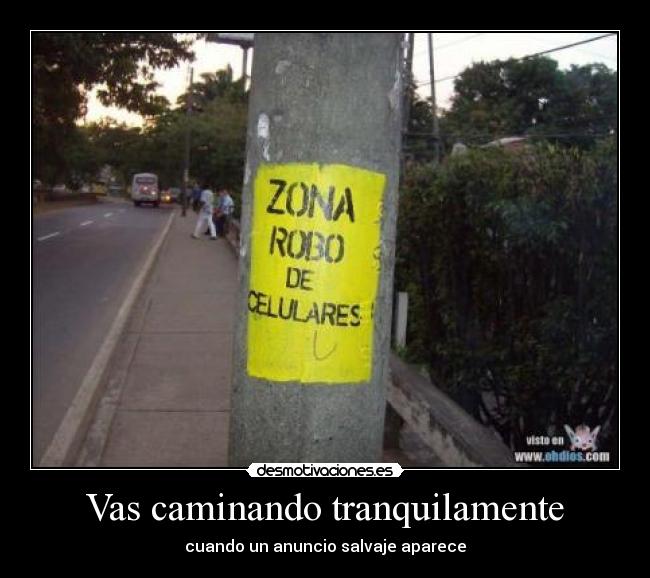 Vas caminando tranquilamente - 