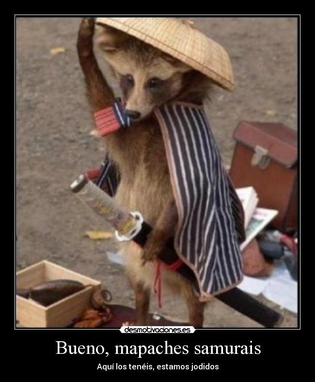 Bueno, mapaches samurais - Aquí los tenéis, estamos jodidos