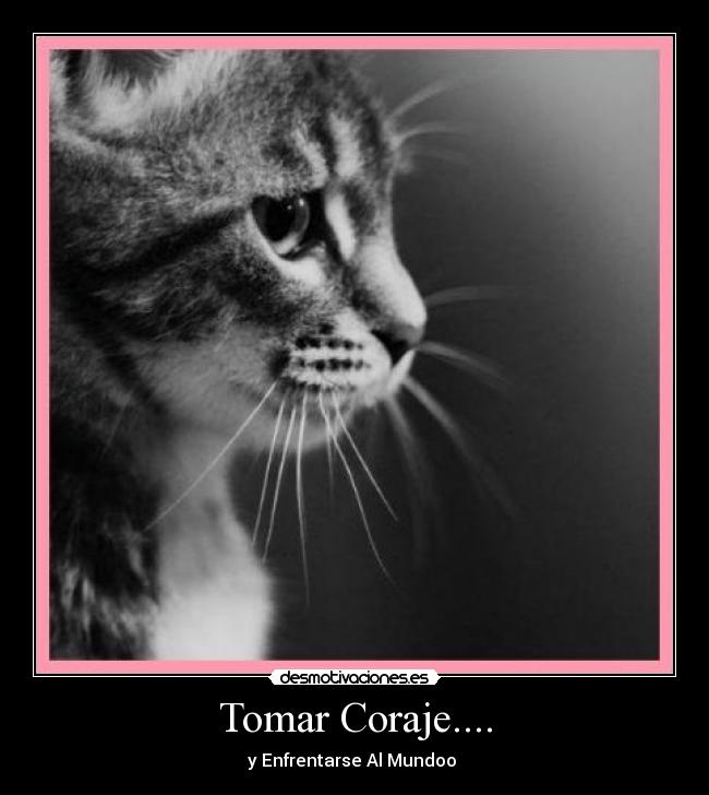 Tomar Coraje.... - y Enfrentarse Al Mundoo ♥