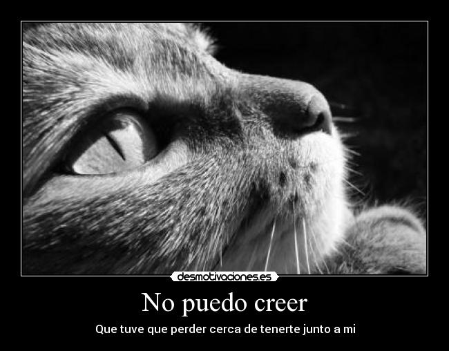 No puedo creer - Que tuve que perder cerca de tenerte junto a mi