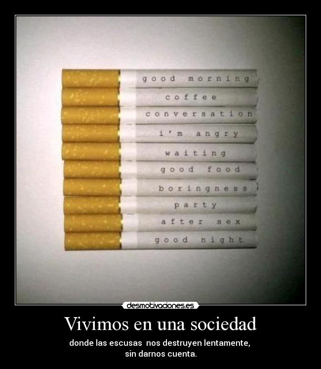 Vivimos en una sociedad - 