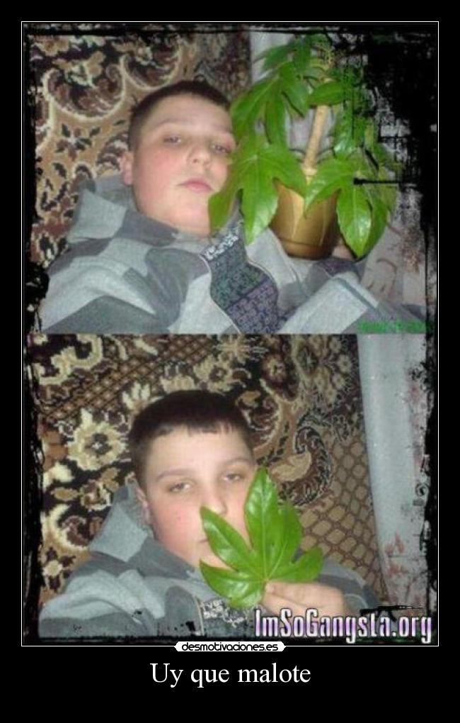 Uy que malote -