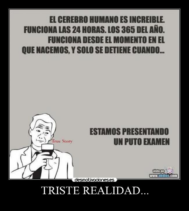 TRISTE REALIDAD... -