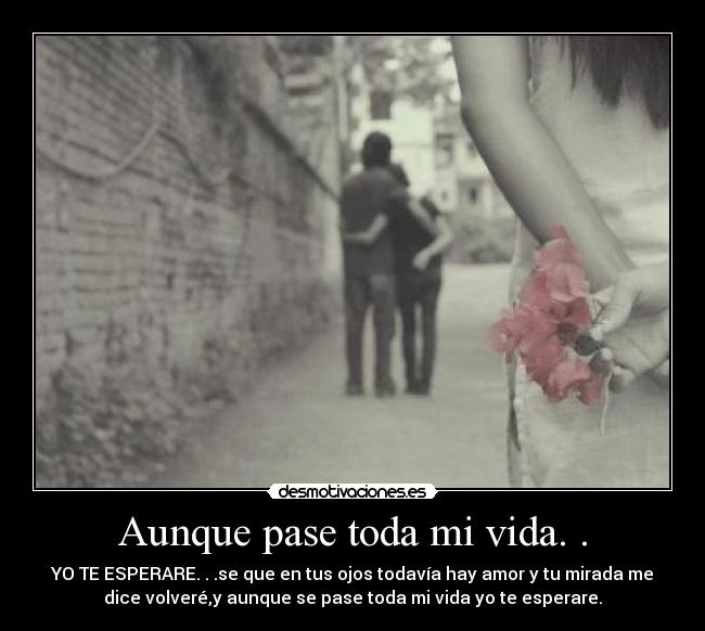 carteles vida amor desmotivaciones