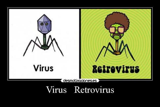 Virus   Retrovirus - 