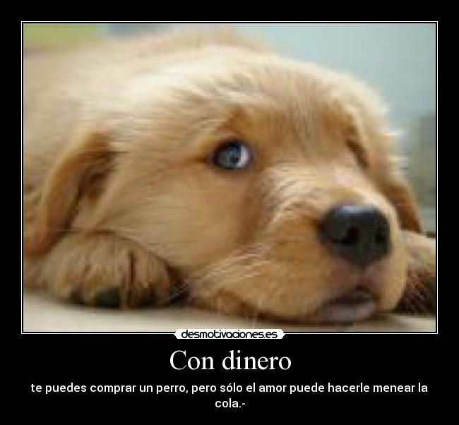 Con dinero - te puedes comprar un perro, pero sólo el amor puede hacerle menear la cola.-