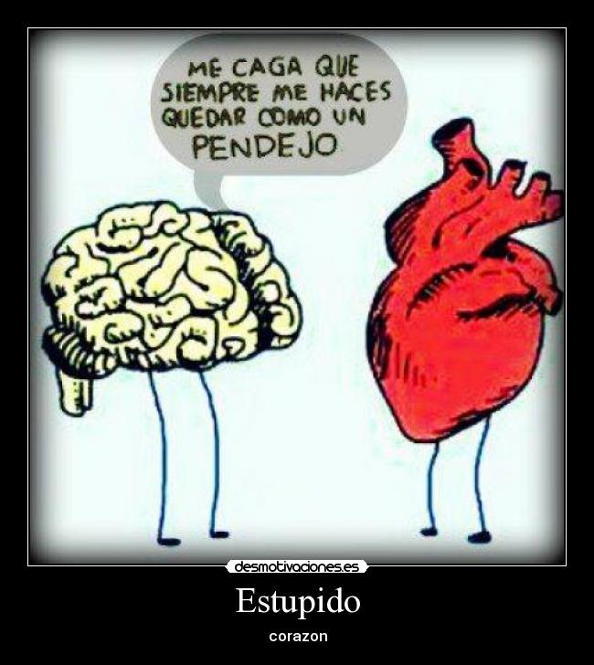 Estupido - corazon