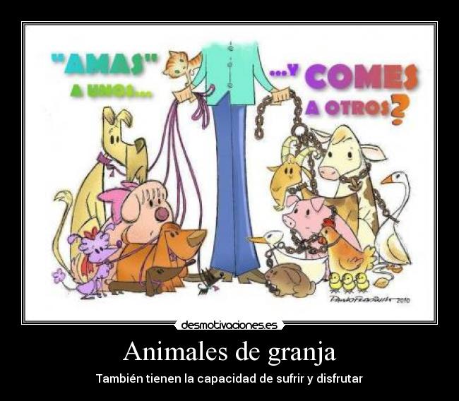 Animales de granja -