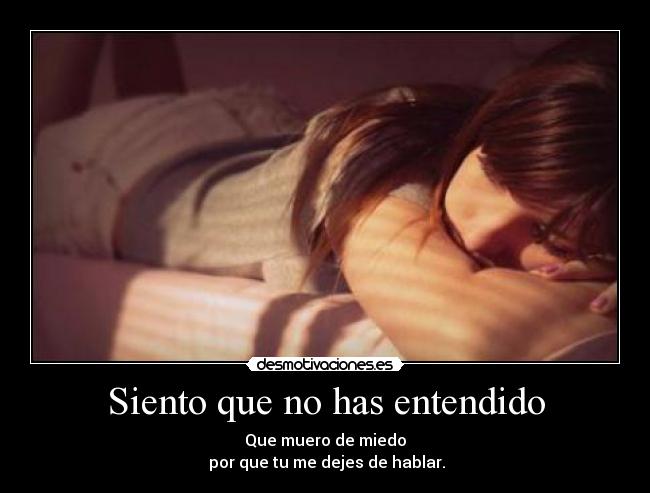 Siento que no has entendido -