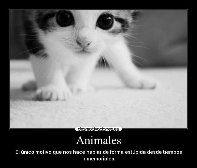 Animales -