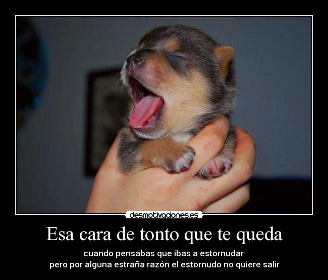 Esa cara de tonto que te queda - 