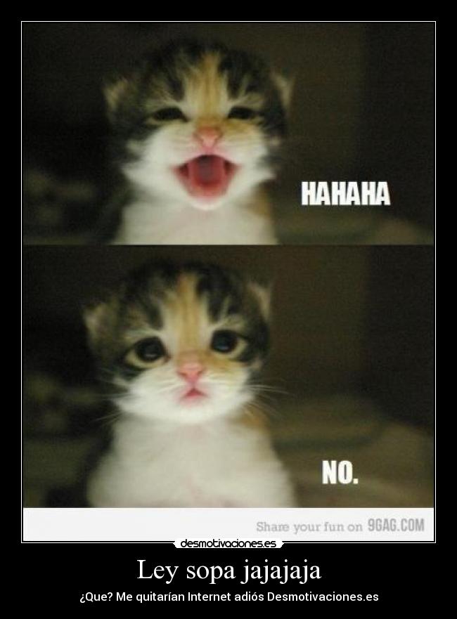 Ley sopa jajajaja - ¿Que? Me quitarían Internet adiós Desmotivaciones.es